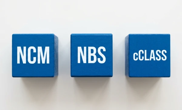 Como revisar NCM, NBS e cClassTrib em escala Como Revisar NCM NBS