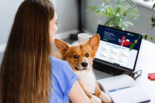 Veja tudo o que você pode gerenciar com o sistema completo para pet shop GestãoClick sistema-completo-para-pet-shop